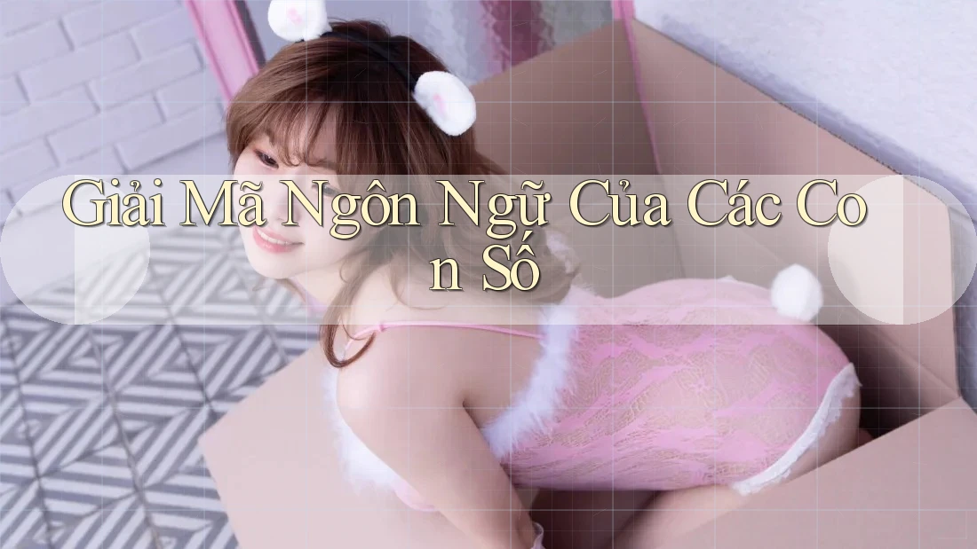 Giải mã “ngôn ngữ” của các con số