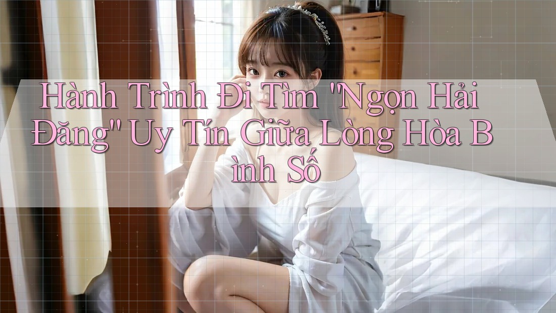 Hành Trình Đi Tìm “Ngọn Hải Đăng” Uy Tín Giữa Lòng Hòa Bình Số
