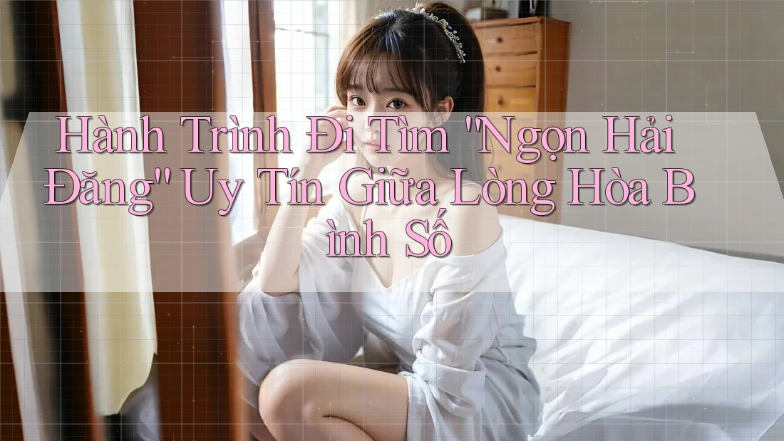 Hành Trình Đi Tìm “Ngọn Hải Đăng” Uy Tín Giữa Lòng Hòa Bình Số