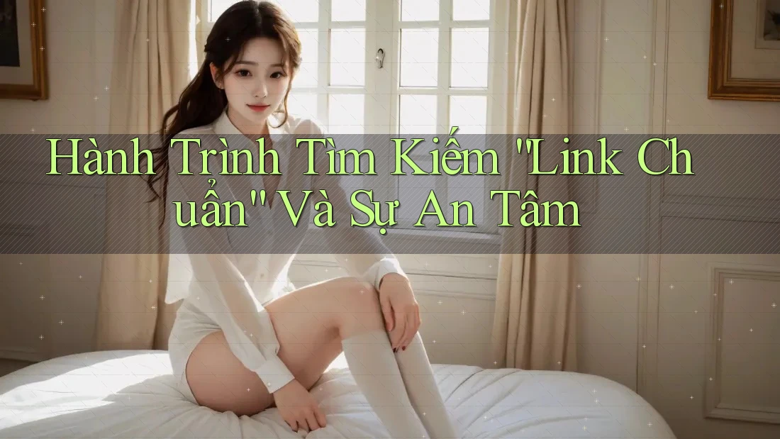 Hành Trình Tìm Kiếm “Link Chuẩn” Và Sự An Tâm