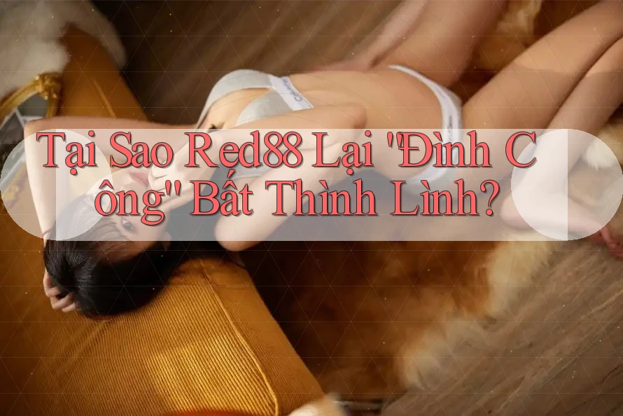 Tại Sao Red88 Lại “Đình Công” Bất Thình Lình?
