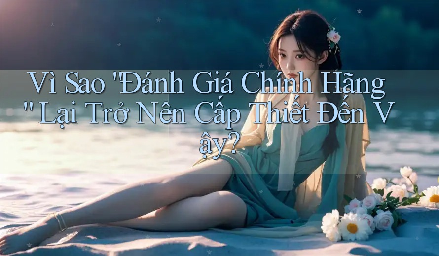 Vì Sao “Đánh Giá Chính Hãng” Lại Trở Nên Cấp Thiết Đến Vậy?